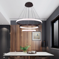 Nordic style ring chandelier cafe dining chandelier LED creative pendant lamp